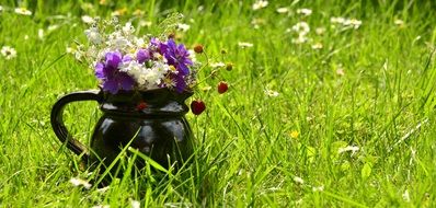 bouquet of wildflowers on the meadow