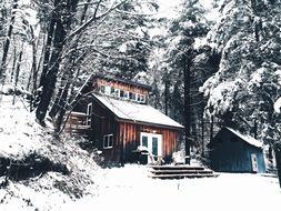 cottage in a snowy forest