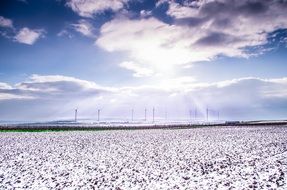 cloudy sky over a snow-white field