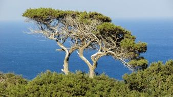 national park cape Greco
