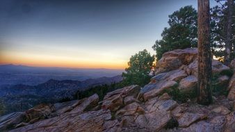 green trees on rocky mountain