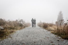 People Walking Path