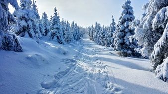 winter mountains snow path view