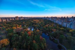 panoramic view of a picturesque forest under a blue sky