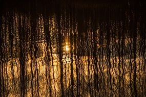 bare trees mirroring on water at sunset