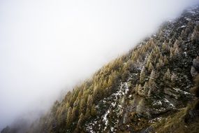 Mist and snow on the mountain