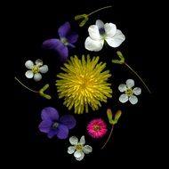 decoration of cut colorful flowers