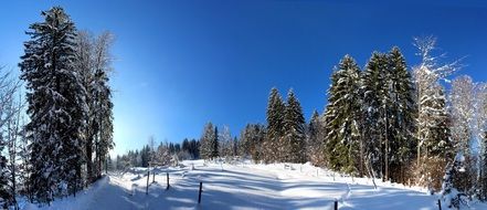 extraordinary beautiful Alps Germany