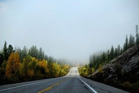 Beautiful highway along the autumn forest with colorful trees in fog