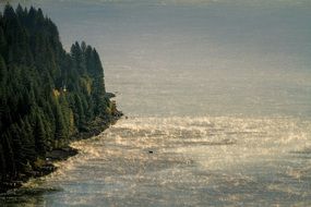 wonderful Waves Shore