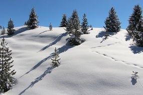 extraordinary beautiful Snow Mountain