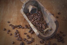 coffee beans in a wooden scoop