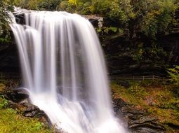 Waterfall in the jungle
