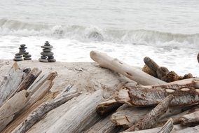 sea Landscape with pebble and barks