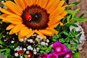 bright summer bouquet with a large sunflower