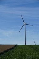 wind turbines in the open field