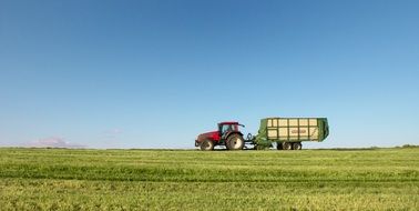 agricultural tractor rides on a green field