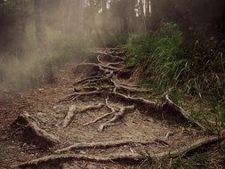 mountain path in mountains