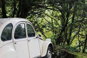 Volkswagen Beetle Car
