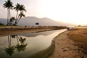vietnam beach Scenery with palm trees