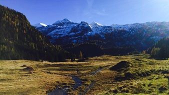 creek in a mountain valley