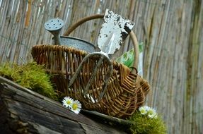 Garden tools in a basket