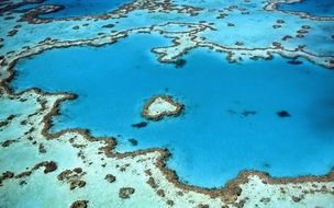 coral Reef Heart Shape aerial view