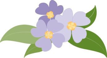 Flowers Plants Purple drawing