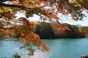 mount bandai near the lake