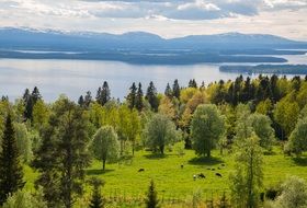 Mountain Landscapes, Sweden