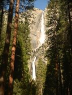 waterfall between sequoias