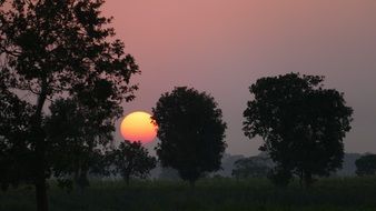 orange red sun in the evening