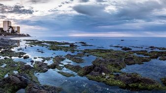 Shore Beach Dawn