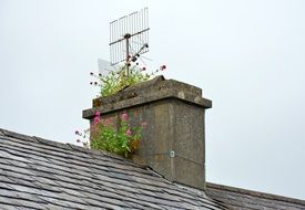 stone chimney in plants