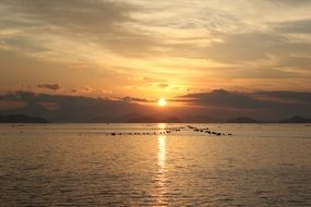 photo of a warm autumn sunset