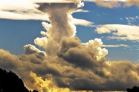 landscape of tall Clouds at evening Sky above trees