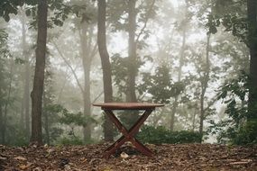 Bench Table