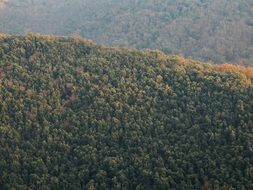 Landscape of the beautiful mountains with green forests in light