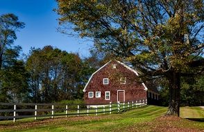 fenced Barn in front of Autumn forest, usa, Connecticut
