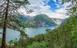 summer Norway Fjord Landscape