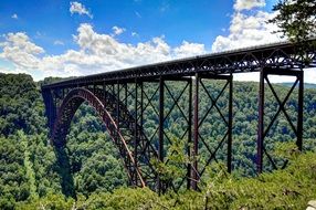 Landscape with the beautiful bridge among the colorful plants in America