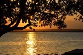 beautiful sunset over a tropical river in Florida