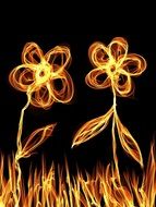 drawn fire flowers