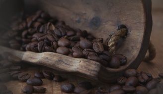 coffee beans on an old wooden spatula