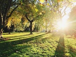 incredibly handsome Sunshine Shadows