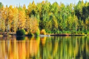 Landscape with the reflection of the forest in the water