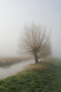 Mist on the road in winter