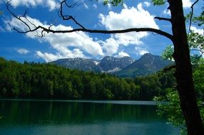 incredibly delicious Alatsee Lake