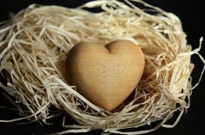 wooden heart in the nest