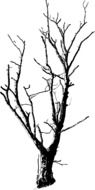 Black and white drawing of the tree clipart